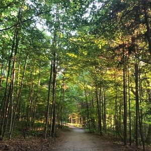 Meet your Posher, Suad